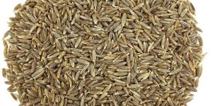 Cumin Seeds