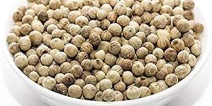 White Pepper Seeds