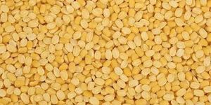 Yellow Moong Dal