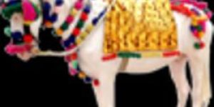 Wedding Horse Arrangements