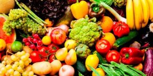 Food Processing Consultants