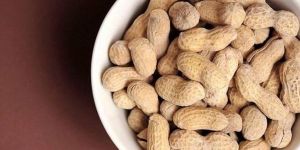 Groundnut
