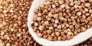 Buckwheat Seeds