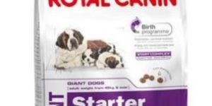 Royal Canin Giant Starter Mother & Baby Dog Food