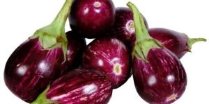 Fresh Brinjal