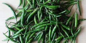 Green Chilli