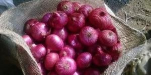 Fresh Red Onion