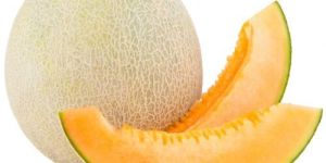 Fresh Muskmelon