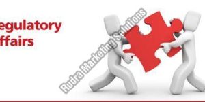 Pharmaceutical Regulatory Services