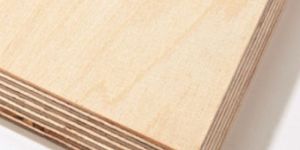 Birch Plywood