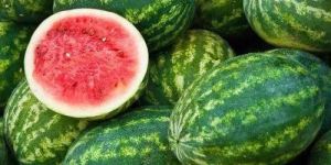 Fresh Organic Watermelon