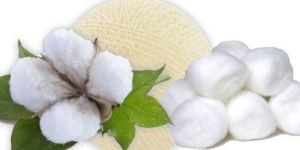 Raw Cotton