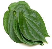 Betel Leaf Oil