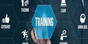 Training Services