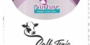 Calf Tonic (Immunity Enhancing Multivitamins with Choline and Amino Acids)