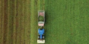 Plantation Ownership