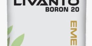 EDTA Boron 20 Livanto Micronutrient Fertilizer