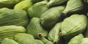 8.5mm Green Cardamom