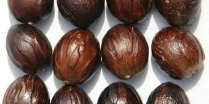 Shelled Nutmeg