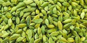 Super Bold Green Cardamom