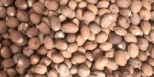 Tiger Nutmeg