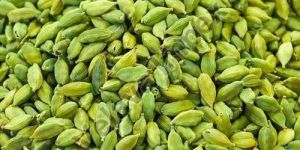 Super Bold Green Cardamom