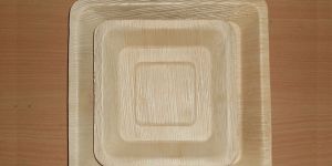 Square Areca Eco Friendly Plates