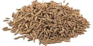 Cumin Seeds