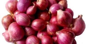 Fresh Small Onion