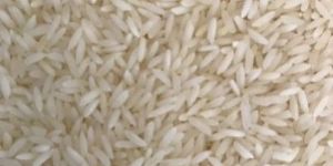 Kolam Rice