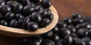 Organic Black Soya Bean