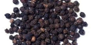 Organic Black Pepper