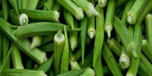 Lady Finger