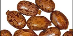 Castor Oil