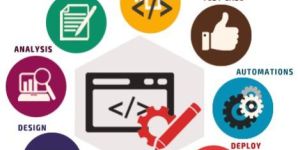 Customized Software Development Services