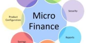 Microfinance Software