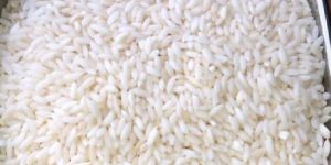 Sona Masoori Steam Rice