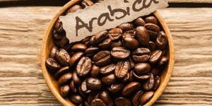 Arabica Coffee