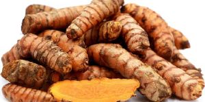 Turmeric Roots