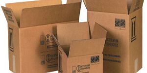 Plain Carton Boxes