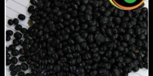 Black Soya Bean