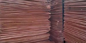 Copper Cathode