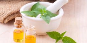 Tulsi Oil
