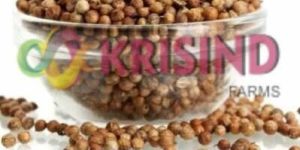 Coriander Seeds