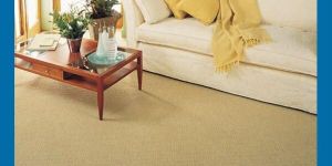 Carpet Flooring