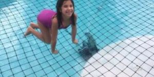 Swimming Pool Net