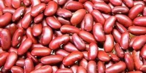 Red Rajma Seed
