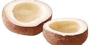 Organic Dried Coconut