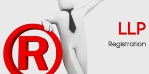 Company Secretarial & LLP Registration Services