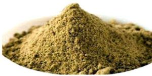 Tulsi Extract